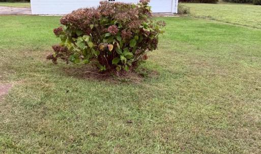 Photo #58 of 8147 Red House Road, Phenix, VA 24.3 acres