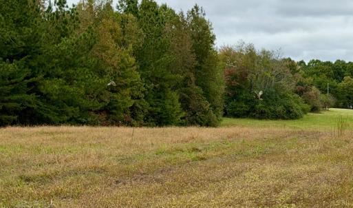 Photo #62 of 8147 Red House Road, Phenix, VA 24.3 acres