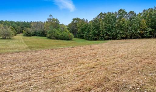 Photo #37 of 8147 Red House Road, Phenix, VA 24.3 acres