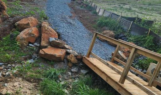 Neighborhood hiking trail!