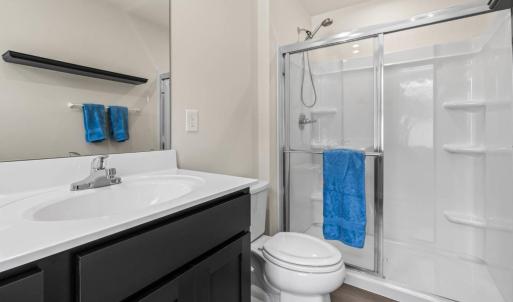 Primary Suite Shower