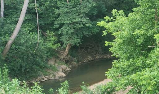 Photo #60 of 139 Ethan Court, Lynchburg, VA 0.2 acres