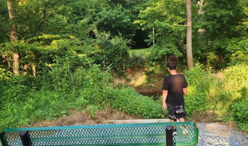 Photo #61 of 139 Ethan Court, Lynchburg, VA 0.2 acres