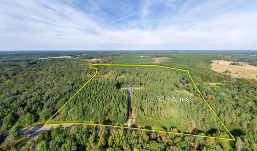 Photo #76 of 7622 Farmville Road, Farmville, VA 50.9 acres