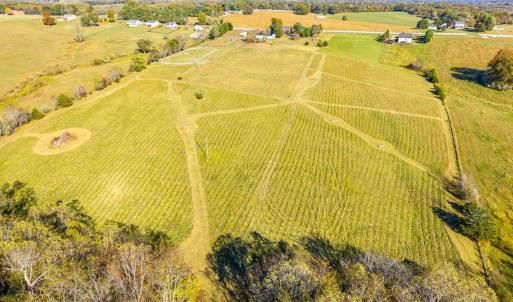 Photo #81 of 2631 Meadors Spur Road, Moneta, VA 22.8 acres