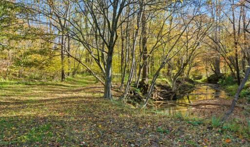 Photo #74 of 2631 Meadors Spur Road, Moneta, VA 22.8 acres