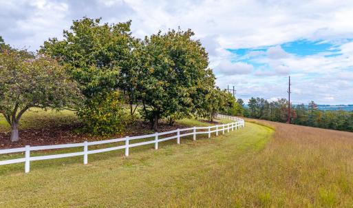 Photo #88 of 1704 Dearing Ford Road, Altavista, VA 79.5 acres