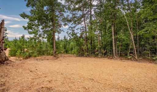 Photo #45 of 594 Community Road, Dillwyn, VA 2.1 acres