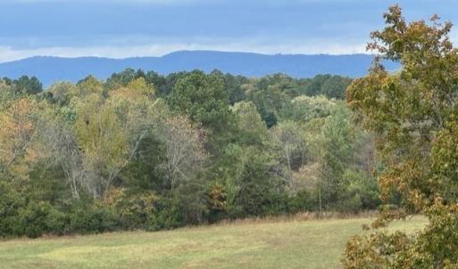Photo #56 of 6223 Joppa Mill Rd, Moneta, VA 2.1 acres