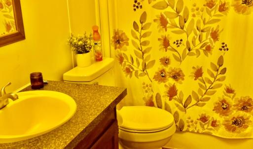 Photo #20 of 6223 Joppa Mill Rd, Moneta, VA 2.1 acres