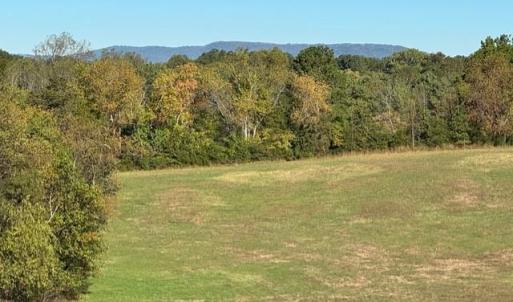 Photo #53 of 6223 Joppa Mill Rd, Moneta, VA 2.1 acres