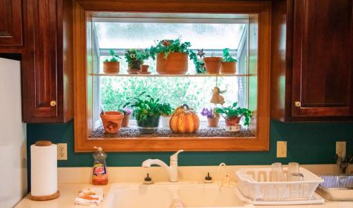 Photo #15 of 224 Walnut Road, Danville, VA 45.5 acres