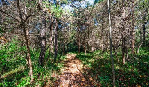 Photo #46 of 1170 Nickolas Berten Way, Lynchburg, VA 1.8 acres