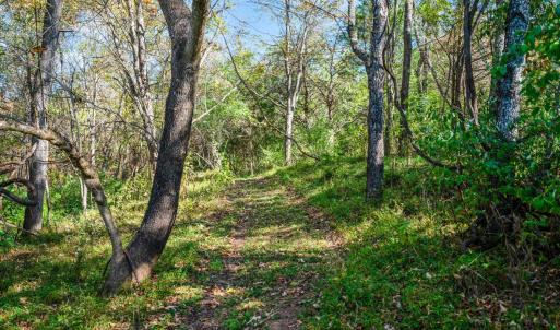 Photo #47 of 1170 Nickolas Berten Way, Lynchburg, VA 1.8 acres