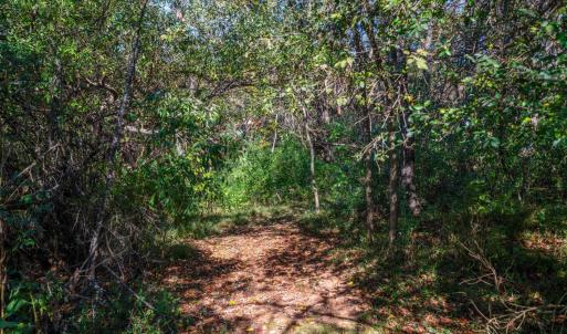 Photo #48 of 1170 Nickolas Berten Way, Lynchburg, VA 1.8 acres