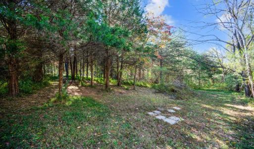 Photo #45 of 1170 Nickolas Berten Way, Lynchburg, VA 1.8 acres