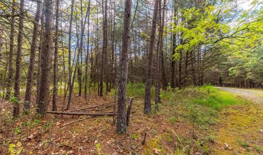 Photo #44 of 199 Peninsula Point, Lynch Station, VA 2.6 acres