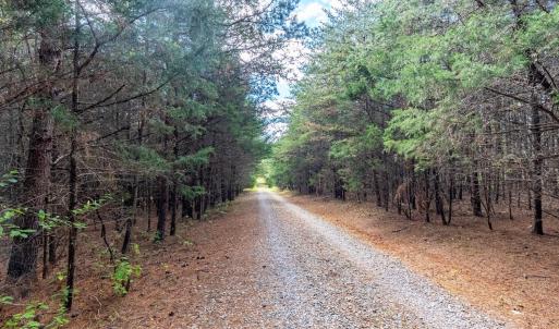 Photo #45 of 199 Peninsula Point, Lynch Station, VA 2.6 acres