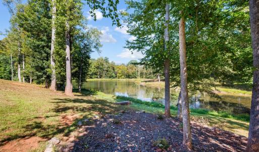 Photo #92 of 1453 Willow Oak Drive, Forest, VA 0.5 acres