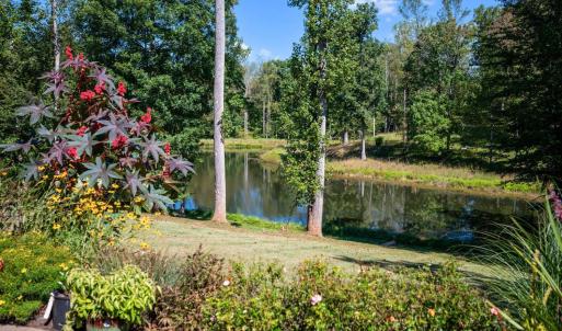 Photo #4 of 1453 Willow Oak Drive, Forest, VA 0.5 acres