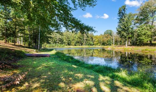 Photo #91 of 1453 Willow Oak Drive, Forest, VA 0.5 acres