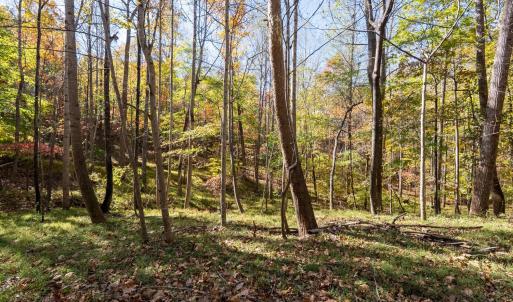 Photo #28 of 214 Riverwood Drive, Madison Heights, VA 7.5 acres