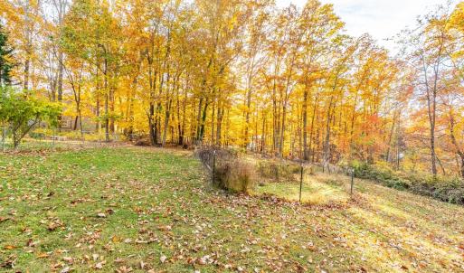 Photo #39 of 241 Old Pocket Road, Lynch Station, VA 0.9 acres