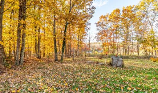 Photo #37 of 241 Old Pocket Road, Lynch Station, VA 0.9 acres
