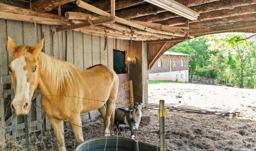 Photo #38 of 4067 Dickerson Mill Road, Bedford, VA 73.5 acres