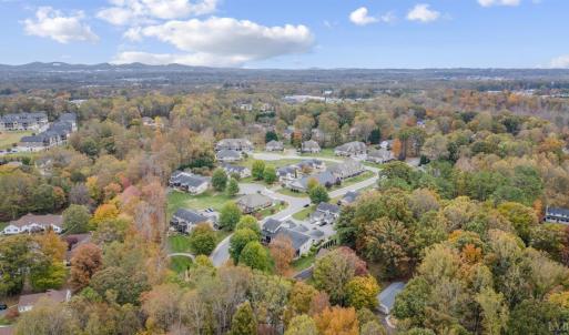 Photo #53 of 1157 Sleepy Oak Lane, Forest, VA 0.1 acres