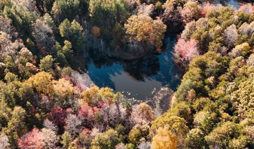 Photo #47 of 7941 Sugar Hill Road, Brookneal, VA 48.6 acres