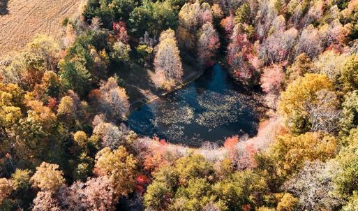 Photo #48 of 7941 Sugar Hill Road, Brookneal, VA 48.6 acres