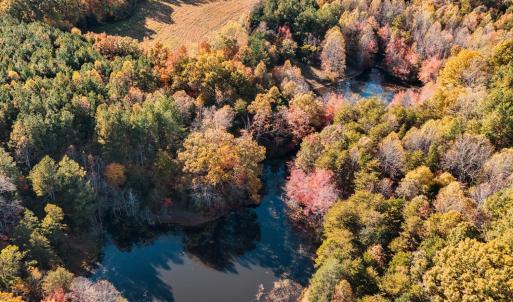 Photo #6 of 7941 Sugar Hill Road, Brookneal, VA 48.6 acres