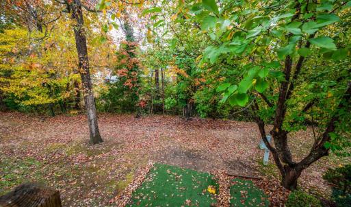 Photo #8 of 102 Goose Ridge Drive, Forest, VA 0.0 acres