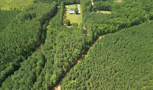 Photo #94 of 1505 Chestnut Grove, Appomattox, VA 4.0 acres