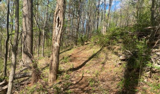 Photo #38 of 2728 E Branch Loop, Roseland, VA 101.6 acres