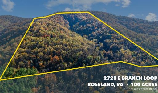 Photo #1 of 2728 E Branch Loop, Roseland, VA 101.6 acres