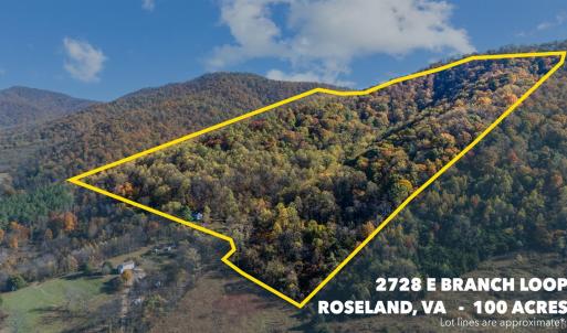 Photo #46 of 2728 E Branch Loop, Roseland, VA 101.6 acres