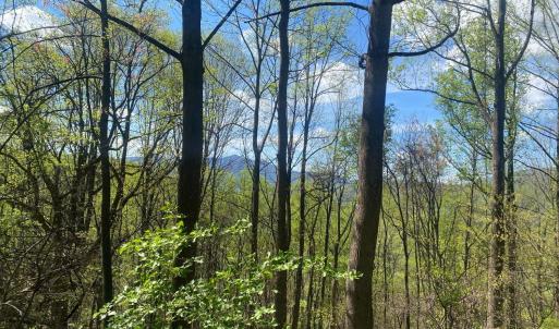 Photo #37 of 2728 E Branch Loop, Roseland, VA 101.6 acres