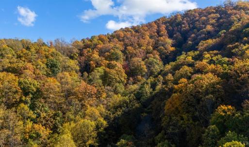 Photo #41 of 2728 E Branch Loop, Roseland, VA 101.6 acres