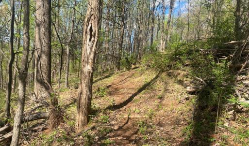Photo #38 of 2728 E Branch Loop, Roseland, VA 101.6 acres