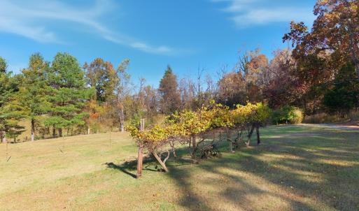 Photo #50 of 1159 Cedar Gate Road, Monroe, VA 9.3 acres