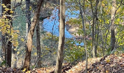 Photo #59 of 6548 Goodview Road, Goodview, VA 16.7 acres