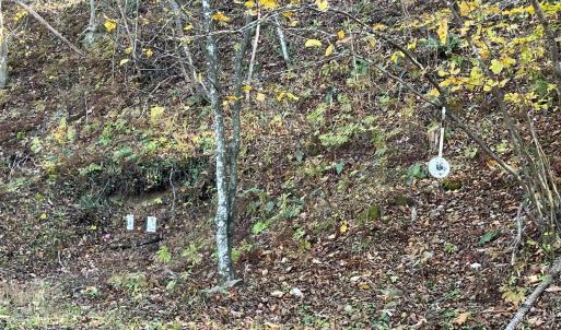 Photo #46 of 6548 Goodview Road, Goodview, VA 16.7 acres