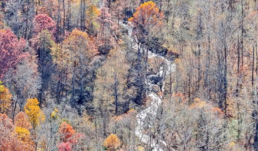 Photo #39 of 6548 Goodview Road, Goodview, VA 16.7 acres