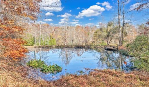 Photo #8 of 6548 Goodview Road, Goodview, VA 16.7 acres