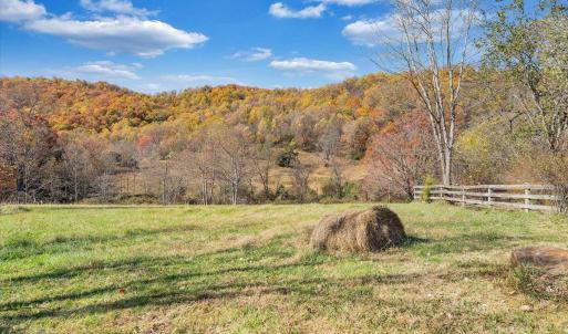 Photo #41 of 1001 Richie Farm Lane, Big Island, VA 10.9 acres