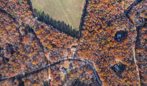 Photo #51 of 178 Covey Road, Amherst, VA 5.7 acres