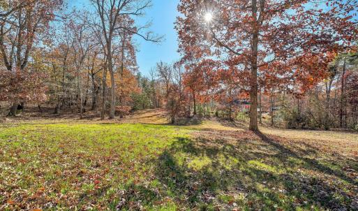 Photo #29 of 3949 Diamond Hill Rd, Moneta, VA 1.2 acres