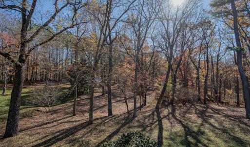 Photo #25 of 608 Lake Vista Drive, Forest, VA 1.0 acres